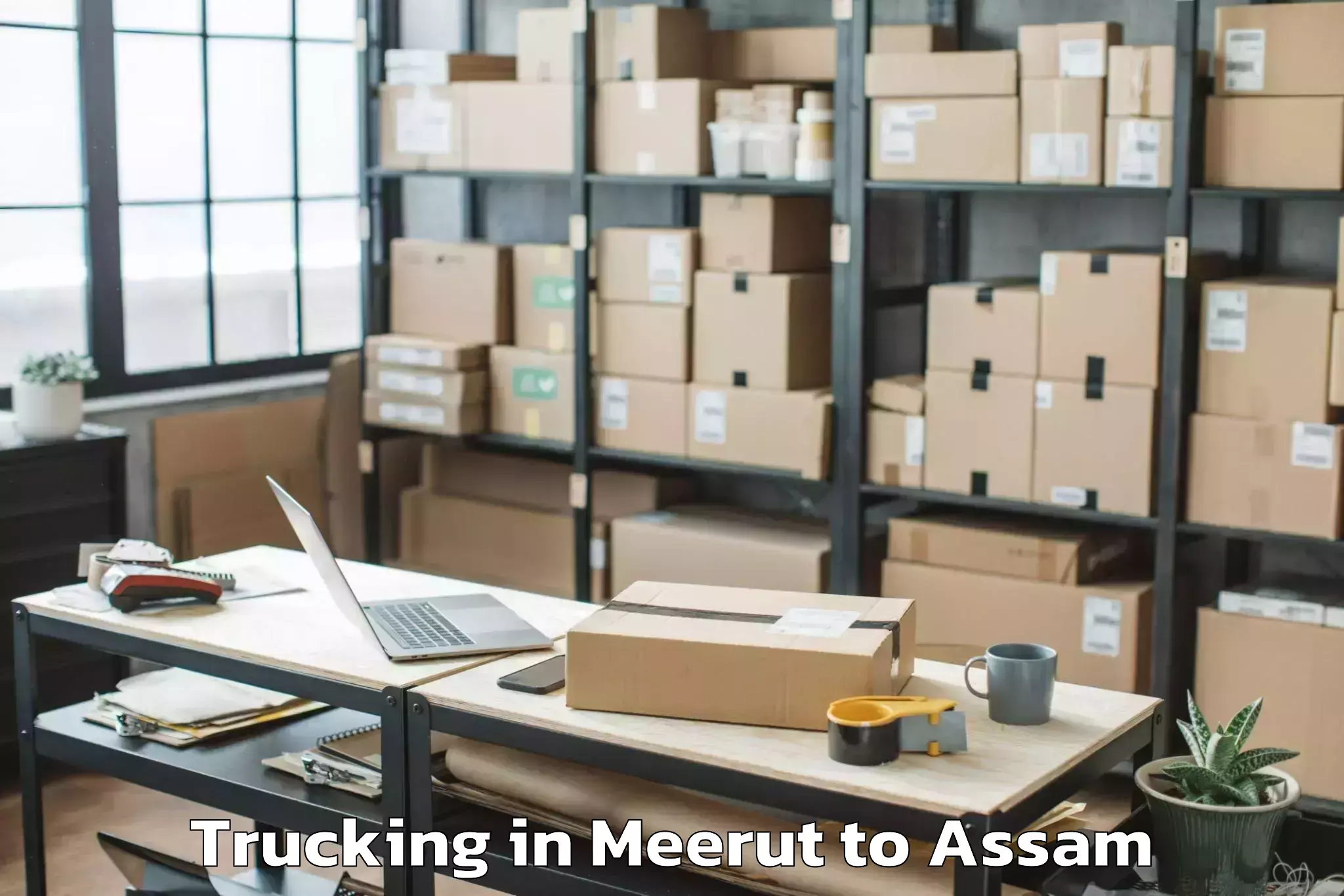 Book Meerut to Titabor Trucking Online